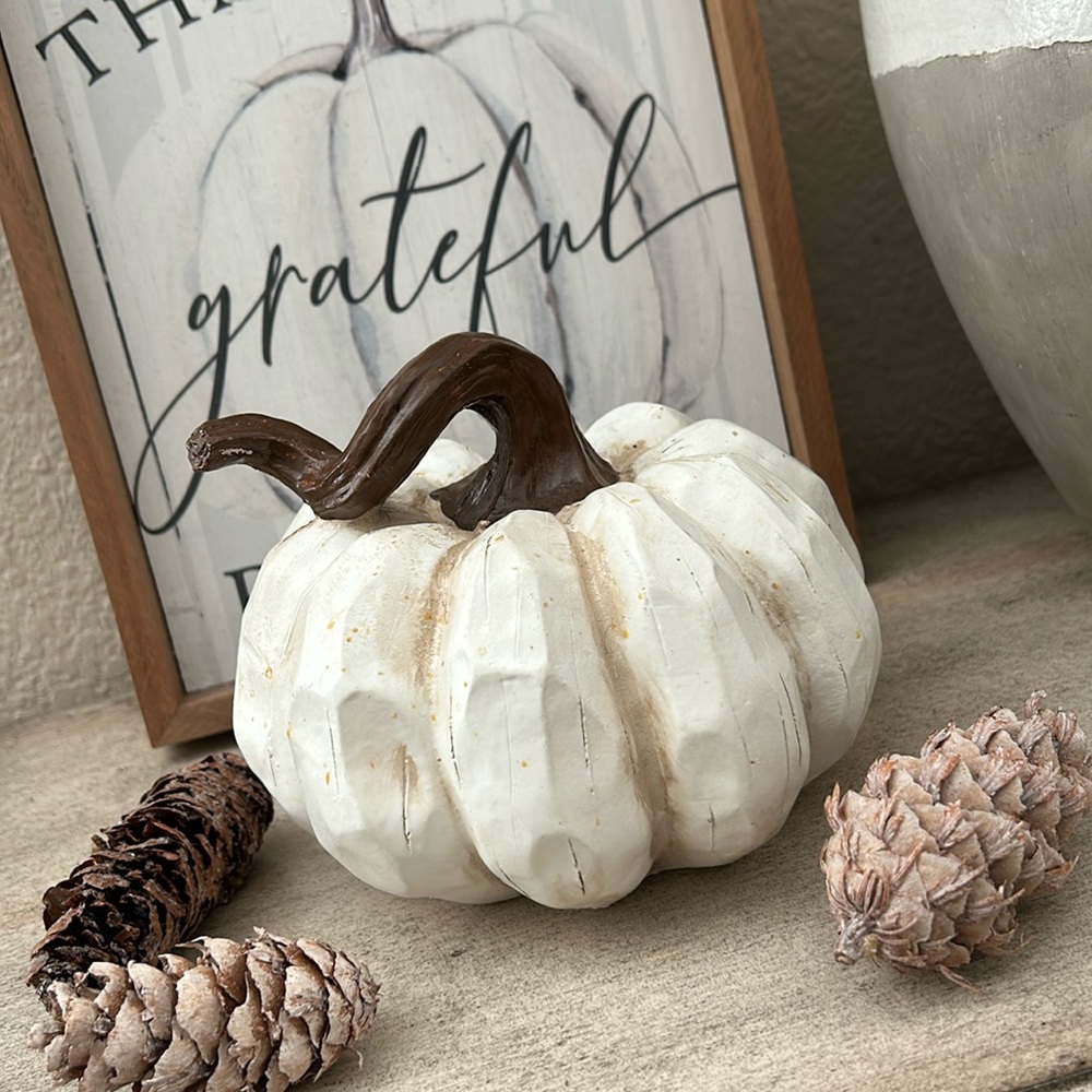 Rustic Farmhouse pumpkin with curly stem
